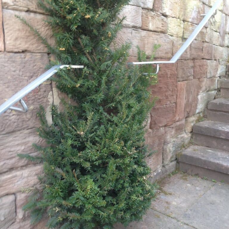 Gartenhandläufe — Projekt 7